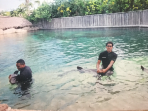 Inside the shark pool