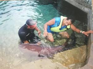 A shark encounter