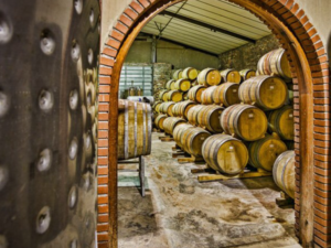 The wine barrels at the Winery in South Africa