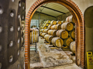 The oak barrels that age the wine